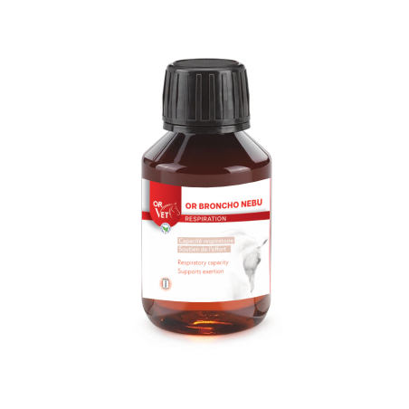 Bronco de oro nebu Oro vet