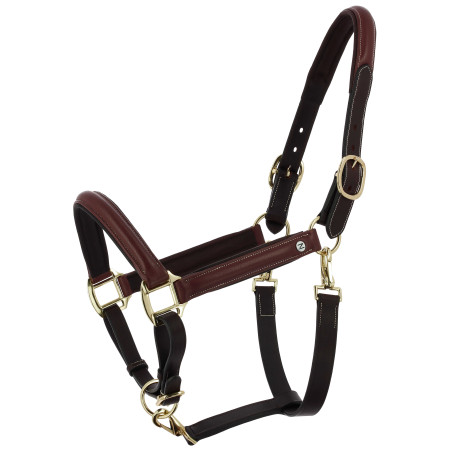 Cabezada de grooming de cuero aceitado Norton Spring