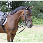 Rênes viennoises Covalliero