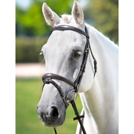 Cabezada testera Tattini frontal musero bordados