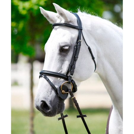 Brida con testera Tattini, frontal y cabezada acolchados