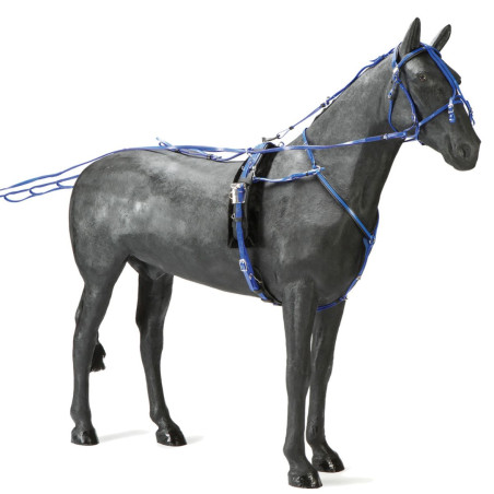 Arnés Daslö trote PVC enganche rápido