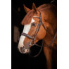 Cabezada de montar PENELOPE - Daily Strass - Negro