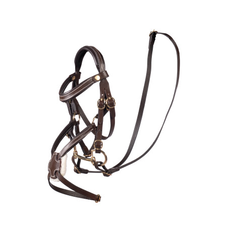 Brida mexicana HKM Hobby Horse