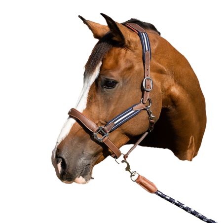 Cabezada Antares antiestrés granulada