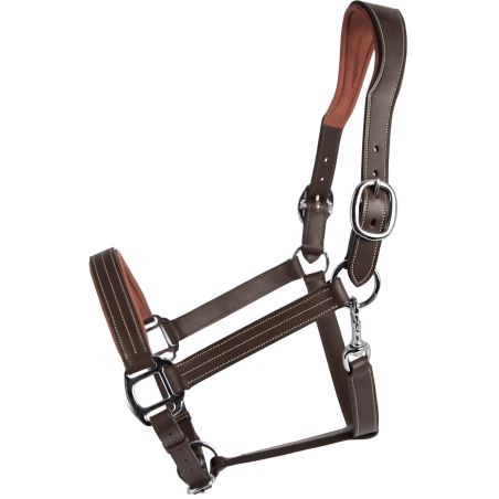 Cabezada de cuero Signature by Antares anatómica