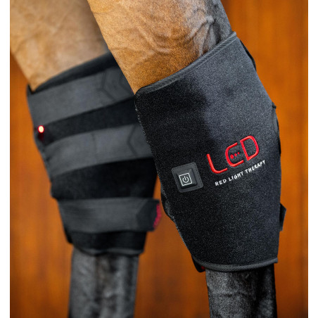 Protector de corvejón de terapia Horseware con luz roja LED