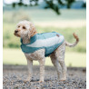 Manta polar Horseware Newmarket para perro - Dinastía Witney