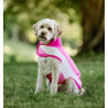 Manta polar Horseware Newmarket para perro - Rose witney