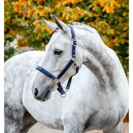 Cabezada de limpieza Horseware