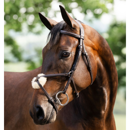 Brida Grackle en forma de 8 Horseware con muserola cruzada