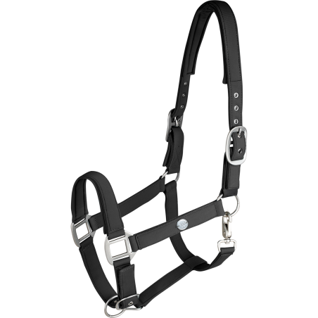 Cabestro Waldhausen Trinidad