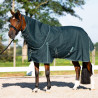 Manta de paddock Imperial Riding Basic con cuello desmontable 300 g - Verde