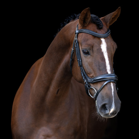 Brida Imperial Riding con muserola inglesa curvada