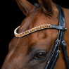Frontal Imperial Riding Grande - Bronce