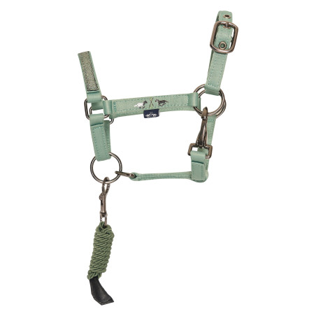 Cabezada para Hobby Horse HV Polo Ruby