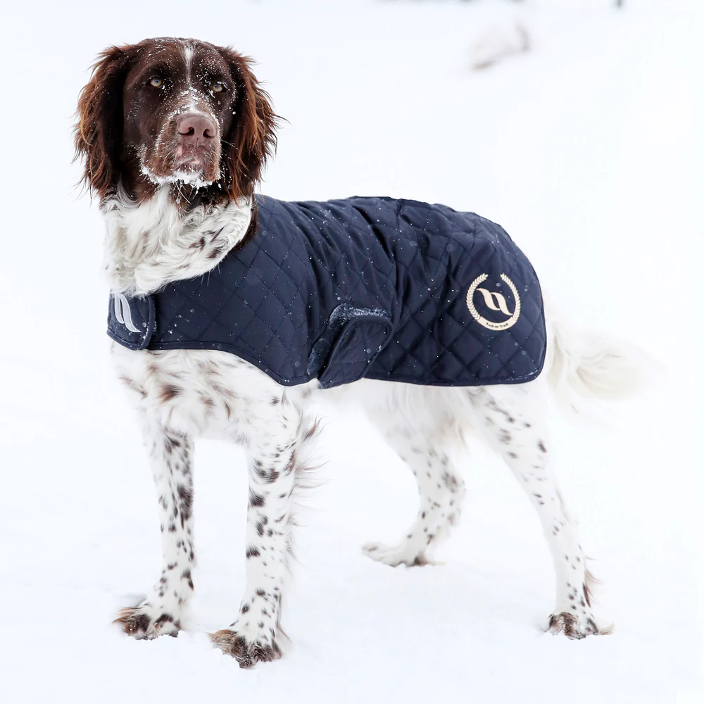 Abrigo para perro Back on Track® Night Collection Azul