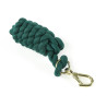 Ramal trenza Shires - Verde