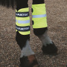 Polainas reflectantes Equi-Flector® Shires - Naranja vivo