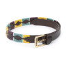 Cinturón Shires Drover Skinny Polo - Amarillo / verde / morado