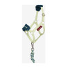 Cabezada y ramal Vogue Hobby Horse LeMieux - Macarrón