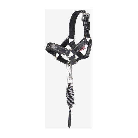Longe y cabestro de cuero LeMieux Toy Pony