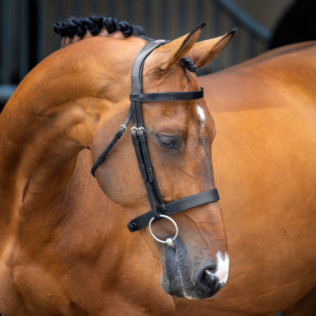 Brida con muserola tipo hunter Shires Velociti Lusso