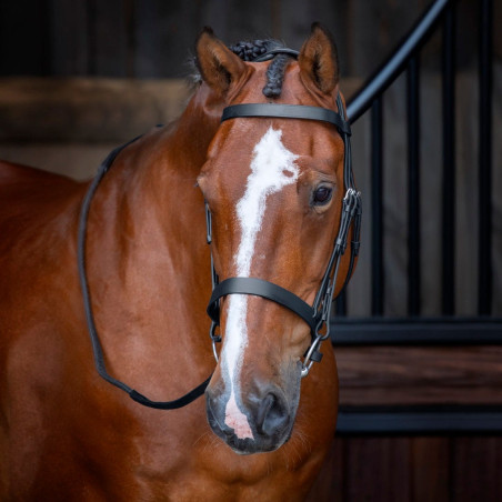 Brida con muserola Hunter Shires Velociti Rapida
