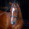 Brida con muserola Hunter Shires Velociti Rapida - Havana