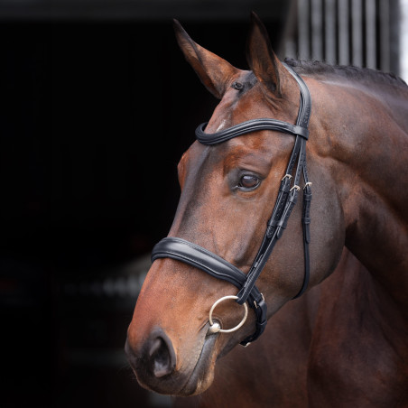 Brida con muserola acolchada Elite Shires Velociti Lusso