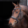 Brida con muserola acolchada Elite Shires Velociti Lusso - Negro