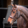 Brida con muserola acolchada Elite Shires Velociti Lusso - Havana