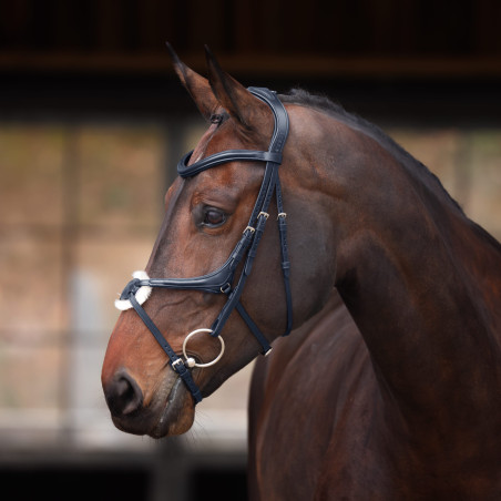 Brida con muserola cruzada Elite Shires Velociti Lusso