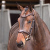 Brida con muserola francesa Elite Shires Velociti Lusso - Havana
