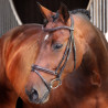 Brida con muserola francesa realzada acolchada Elite Shires Velociti Lusso - Havana