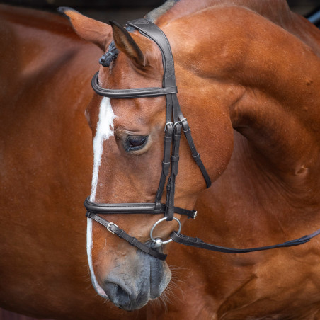 Brida con muserola francesa realzada acolchada Shires Velociti Rapida