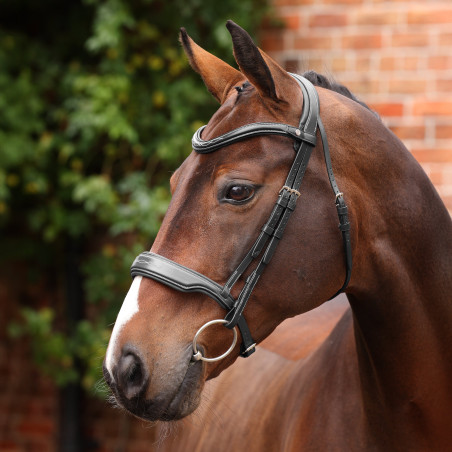 Brida de doma con cierra-bocas Opus 180M Shires Velociti Lusso