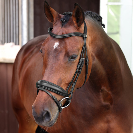 Brida de doma con muserola francesa Elite Shires Velociti Lusso