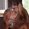 Brida de doma con muserola francesa Elite Shires Velociti Lusso - Havana
