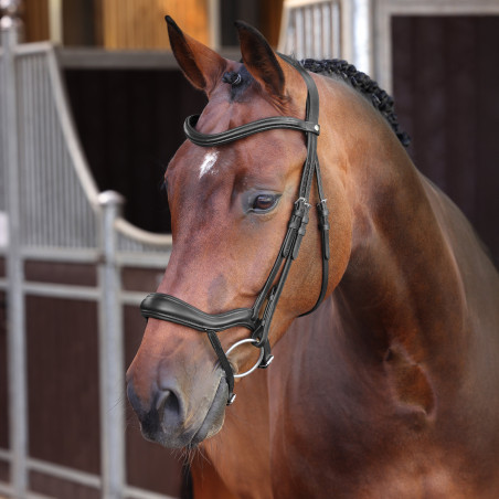 Brida ergonómica con muserola francesa Elite Shires Velociti Lusso