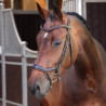 Brida ergonómica con muserola francesa Elite Shires Velociti Lusso - Havana