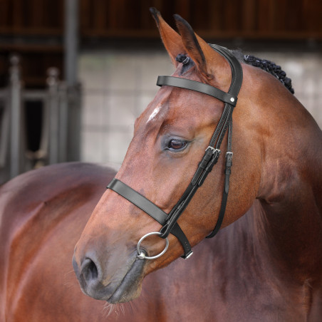 Brida Hunter Elite Shires Velociti Lusso
