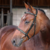Brida Hunter Elite Shires Velociti Lusso - Negro
