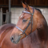 Brida Hunter Elite Shires Velociti Lusso - Havana