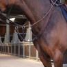 Pechopetral elástico Elite Shires Velociti Lusso - Havana