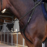 Pechera Elite Shires Velociti Lusso - Negro