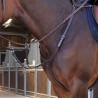 Pechera Elite Shires Velociti Lusso - Havana