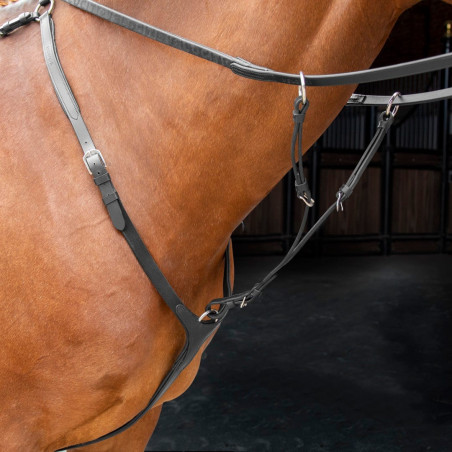 Collar de pecho Shires Velociti Rapida