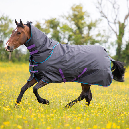 Manta de exterior Original 300 + cubrecuellos Shires Tempest