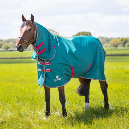 Manta integral Air Motion Original Shires Tempest